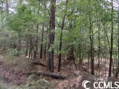 tbd Thomas Rd, Conway, SC 29526 photo 10