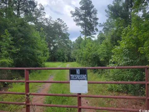 tbd Thomas Rd, Conway, SC 29526 photo 2