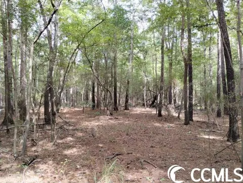 tbd Thomas Rd, Conway, SC 29526 photo 22