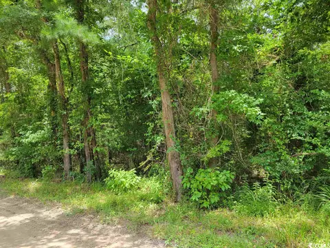 tbd Thomas Rd, Conway, SC 29526 photo 6