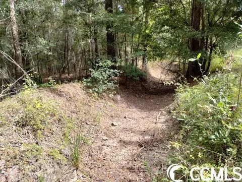 tbd Thomas Rd, Conway, SC 29526 photo 26