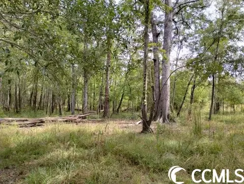 tbd Thomas Rd, Conway, SC 29526 photo 16