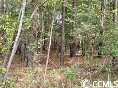 tbd Thomas Rd, Conway, SC 29526 photo 18