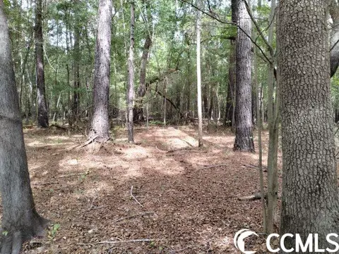 tbd Thomas Rd, Conway, SC 29526 photo 21