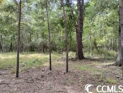 tbd Thomas Rd, Conway, SC 29526 photo 15
