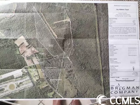 tbd Thomas Rd, Conway, SC 29526 photo 33