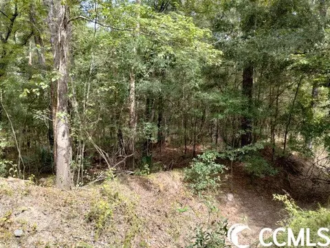 tbd Thomas Rd, Conway, SC 29526 photo 28