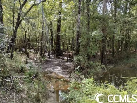 tbd Thomas Rd, Conway, SC 29526 photo 29