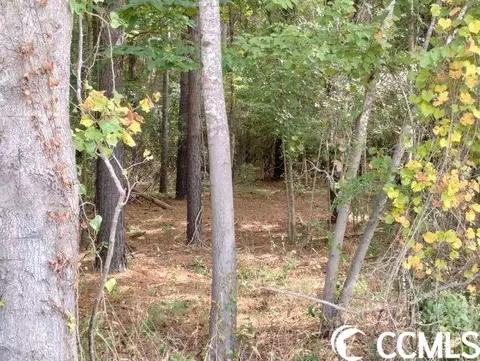 tbd Thomas Rd, Conway, SC 29526 photo 19