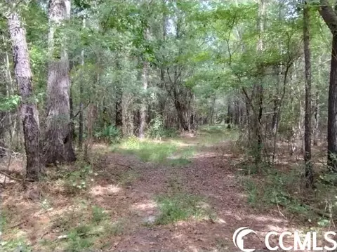 tbd Thomas Rd, Conway, SC 29526 photo 27