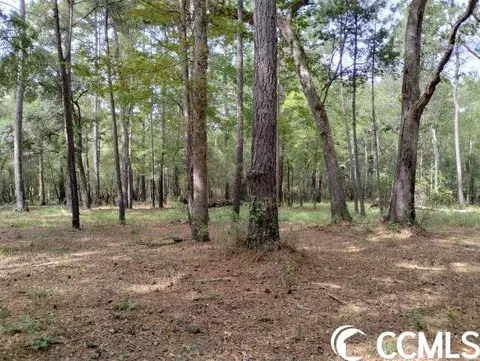 tbd Thomas Rd, Conway, SC 29526 photo 25