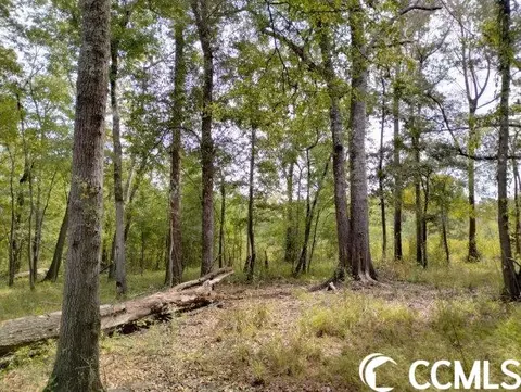 tbd Thomas Rd, Conway, SC 29526 photo 9
