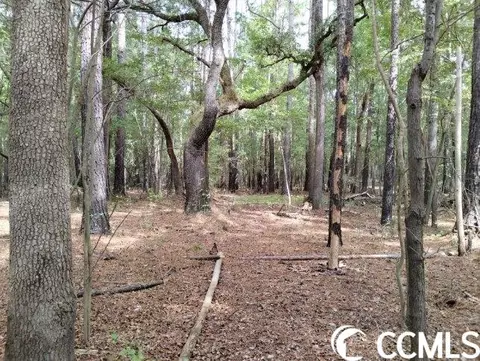 tbd Thomas Rd, Conway, SC 29526 photo 30