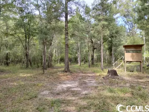 tbd Thomas Rd, Conway, SC 29526 photo 8