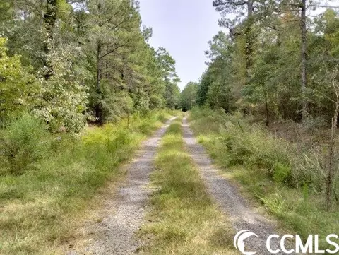 tbd Thomas Rd, Conway, SC 29526 photo 1