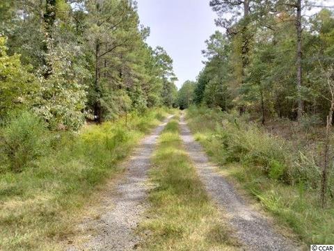 Tbd Thomas Rd., Conway, SC 29526
