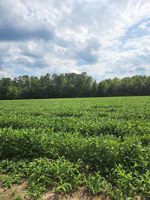 Tbd W Highway 19, Loris, SC 29569