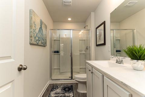 543 Courtridge Loop, Conway, SC 29526 photo 18