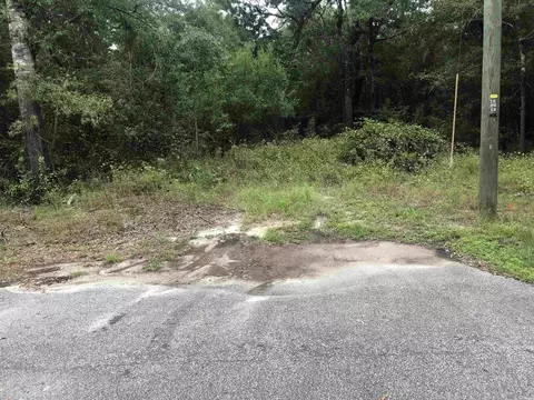 Tbd Waccamaw River Dr., Conway, SC 29526