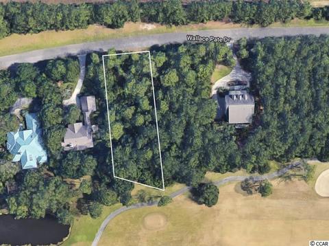313 Wallace Pate Drive, Georgetown, SC 29440