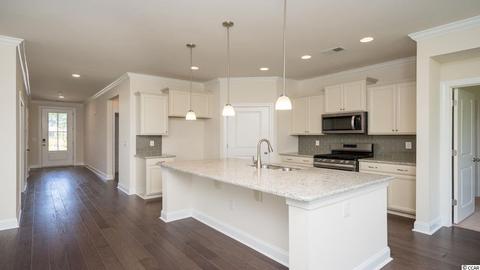 527 Pier Ct, Longs, SC 29568 photo 13