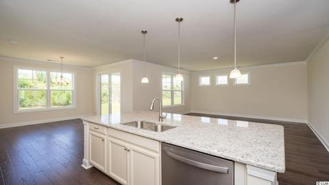 527 Pier Ct, Longs, SC 29568 photo 16