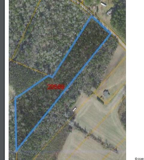 Tbd Fries Bay Rd., Loris, SC 29569