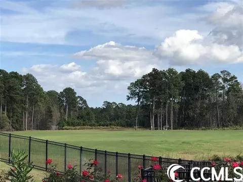 1004 Dowitcher Dr, Conway, SC 29526 photo 34