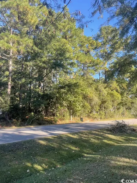 286 George Washington Trl, Georgetown, SC 29440