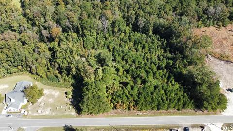Tbd Pauley Swamp Rd., Conway, SC 29527