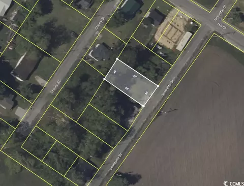 4571 Jenerette St, Loris, SC 29569