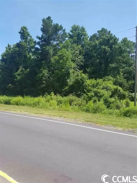 Tbd Highway 9, Loris, SC 29569 photo 2