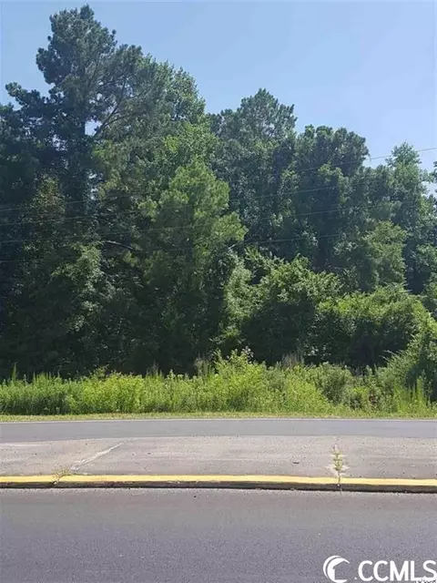 Tbd Highway 9, Loris, SC 29569 photo 5