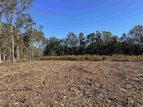 Tbt County Line Rd., Andrews, SC 29510