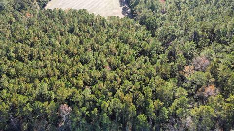 Tbd Long Horne Ranch Dr., Loris, SC 29569