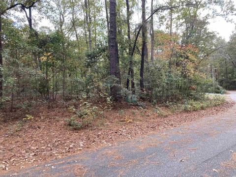 tbd 2 Pine Needle Cir, Johnsonville, SC 29555