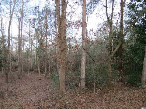 5 Meggett Drive, Georgetown, SC 29440