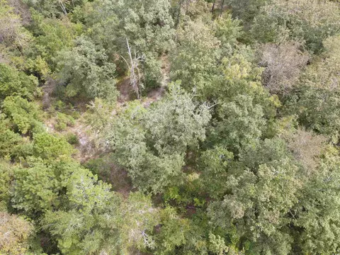 lot7 Rainbow Dr, Loris, SC 29569 photo 12