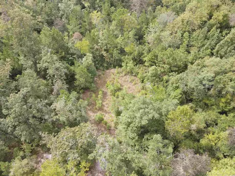 lot7 Rainbow Dr, Loris, SC 29569 photo 16