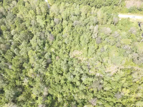 lot7 Rainbow Dr, Loris, SC 29569 photo 9