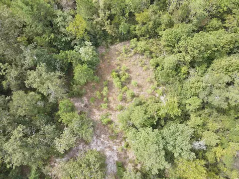 lot7 Rainbow Dr, Loris, SC 29569 photo 17