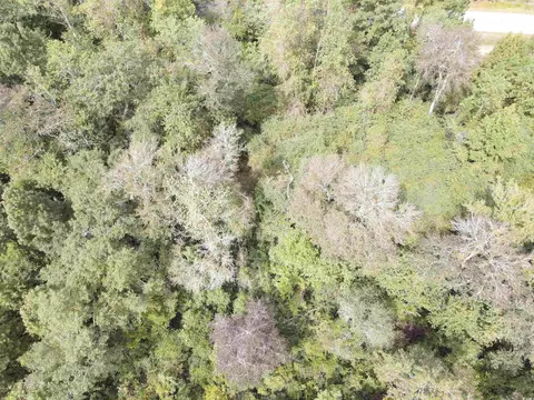 lot7 Rainbow Dr, Loris, SC 29569 photo 18