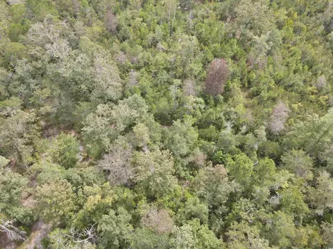 lot7 Rainbow Dr, Loris, SC 29569 photo 13