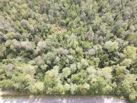 lot7 Rainbow Dr, Loris, SC 29569 photo 6