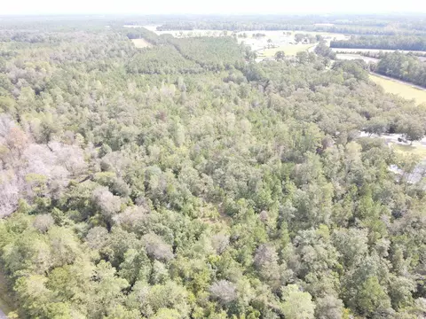 lot7 Rainbow Dr, Loris, SC 29569 photo 3