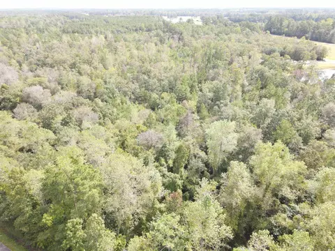 lot7 Rainbow Dr, Loris, SC 29569