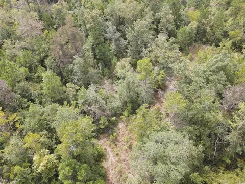 lot7 Rainbow Dr, Loris, SC 29569 photo 15
