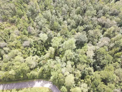 lot7 Rainbow Dr, Loris, SC 29569 photo 4