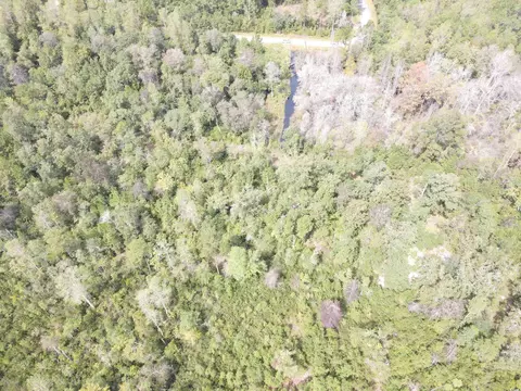 lot7 Rainbow Dr, Loris, SC 29569 photo 7