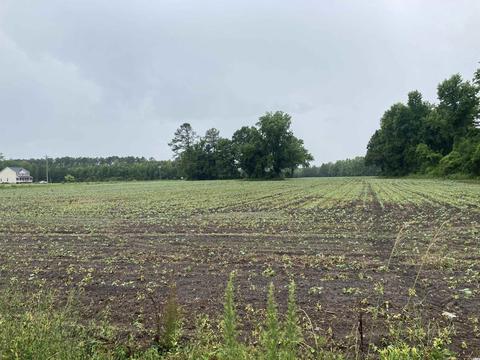Tract A Wildflower Rd., Hemingway, SC 29554